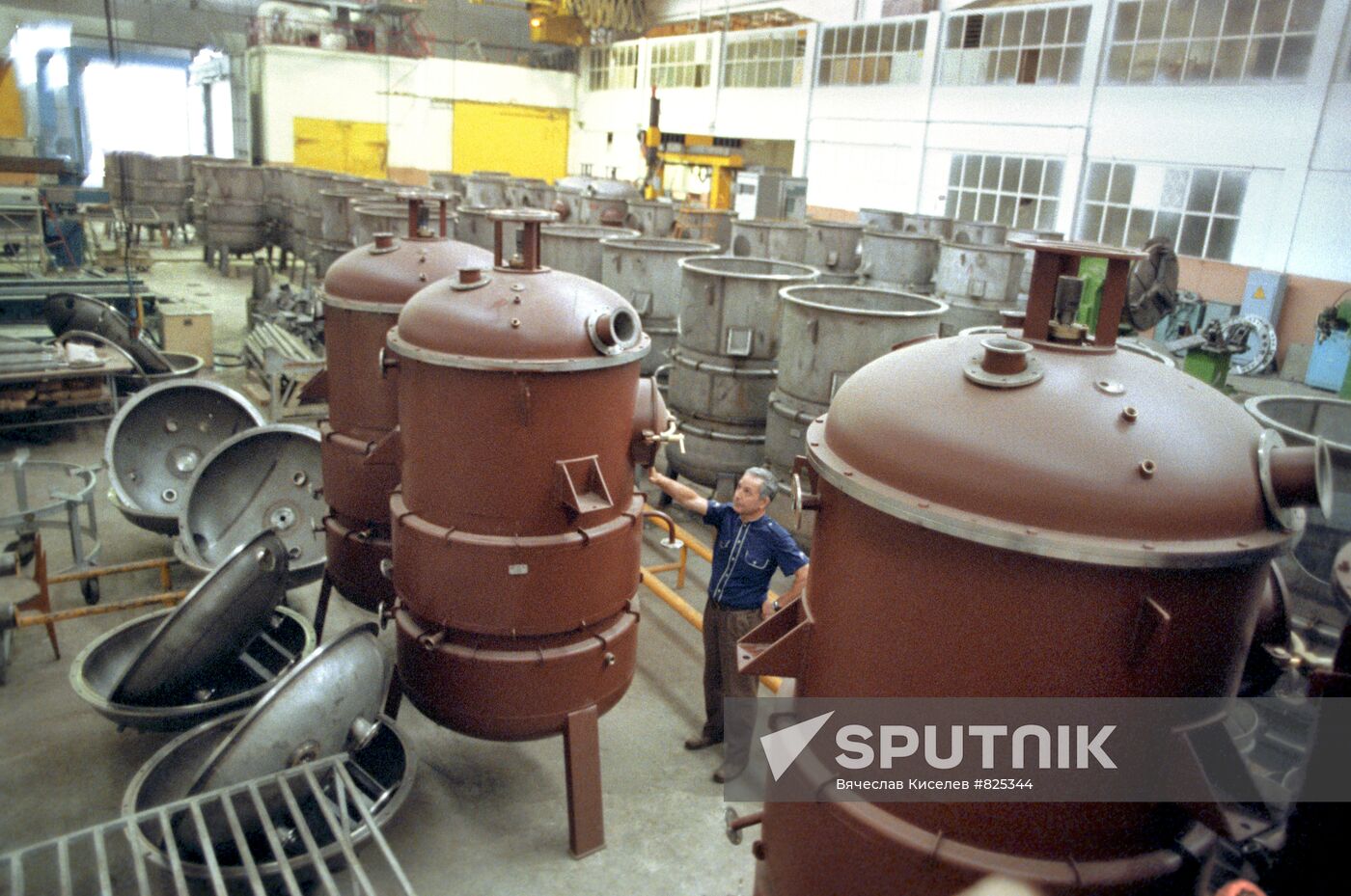 Vegetable processing equipment