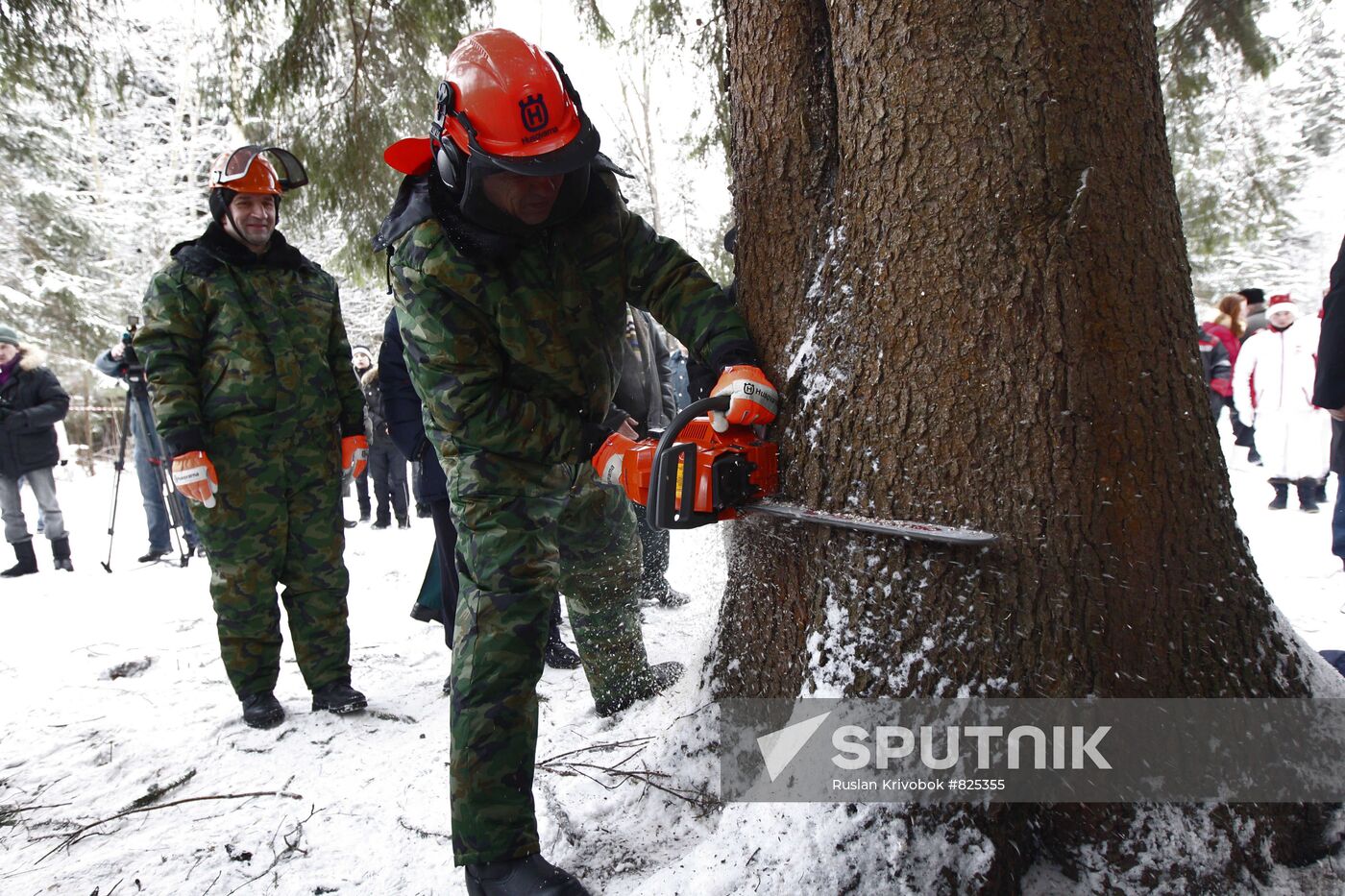 Russian national Christmas tree felling ceremony