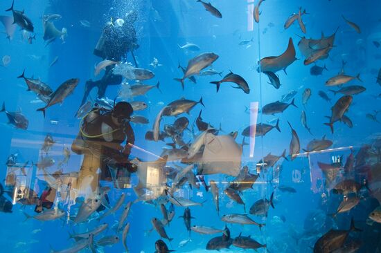 Cities of the world. Dubai
