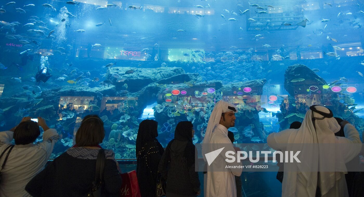 Aquarium at Dubai City Mall