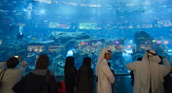 Aquarium at Dubai City Mall