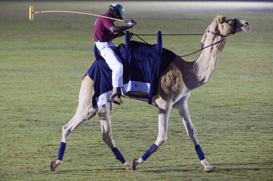 Camel Polo