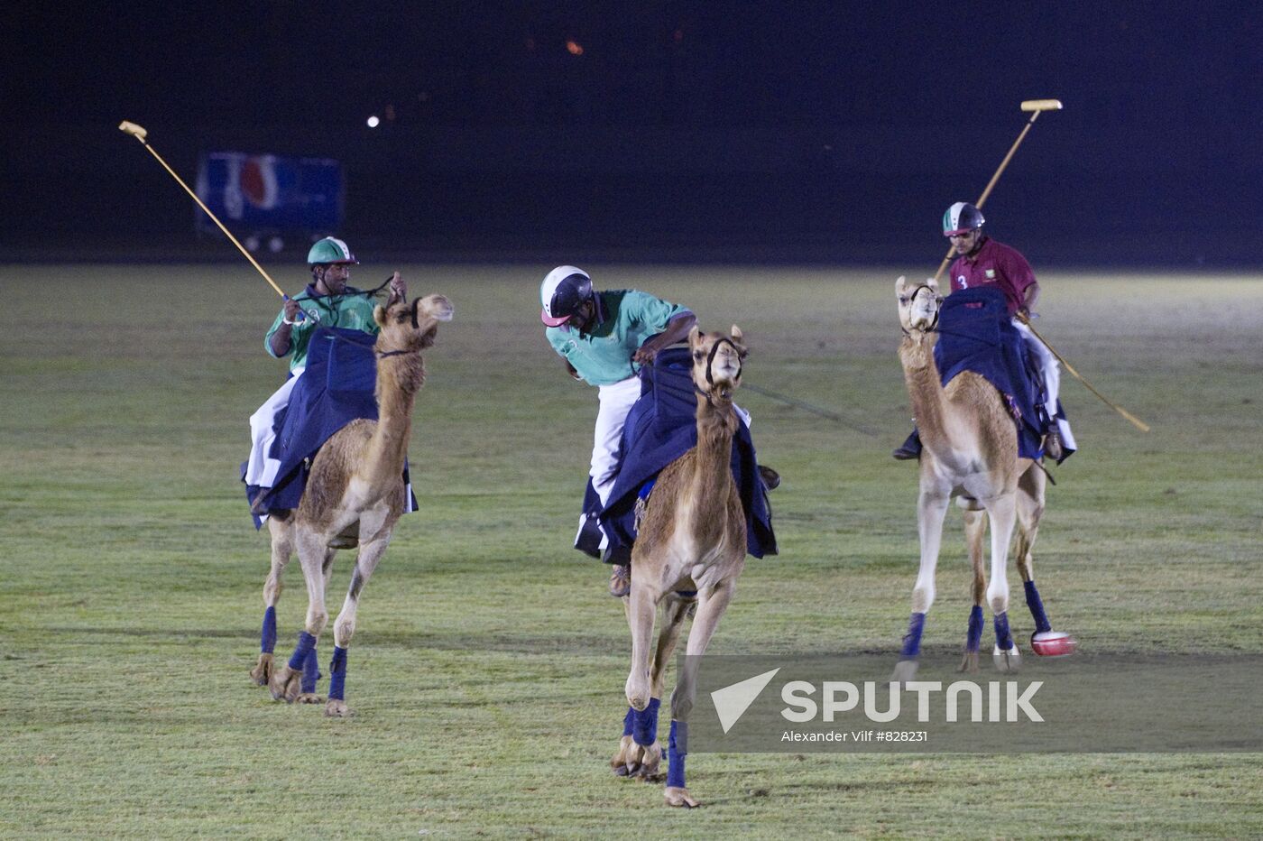 Camel Polo