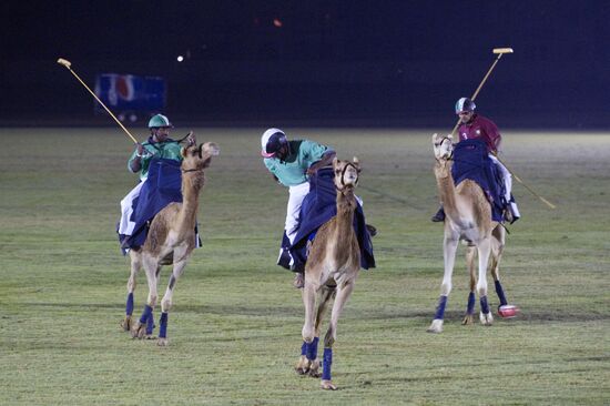 Camel Polo