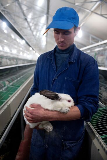 Rabbit-breeding farm in Sverdlovsk Region