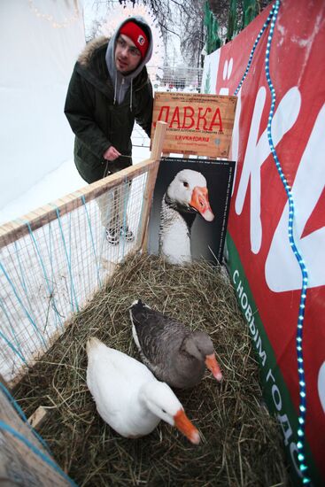 Seasons New Year fair held at Moscow Hermitage Garden