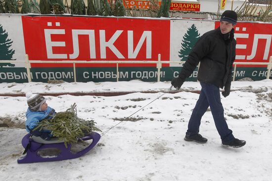 Christmas Tree market in Moscow