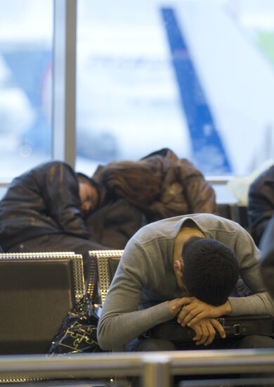 Flights delayed at Domodedovo airport