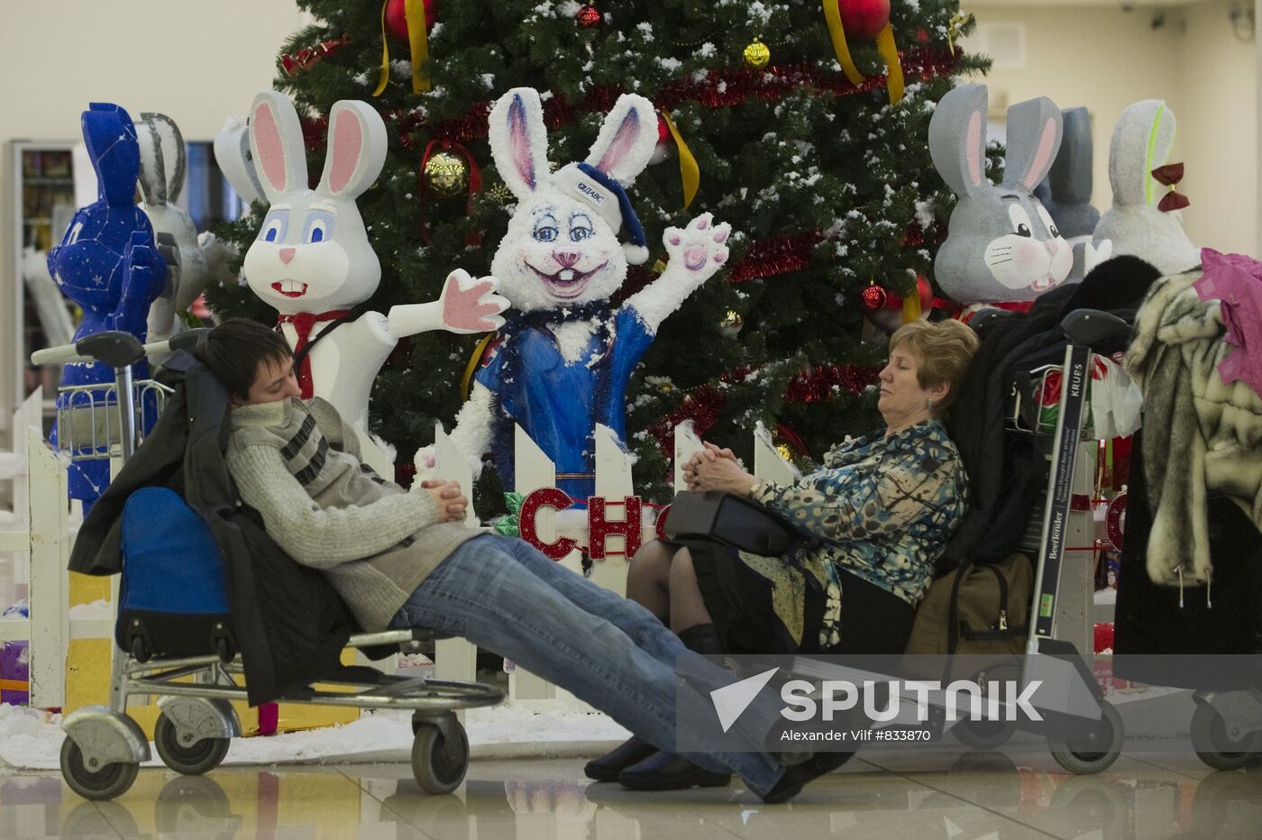 Flights delayed at Domodedovo Airport