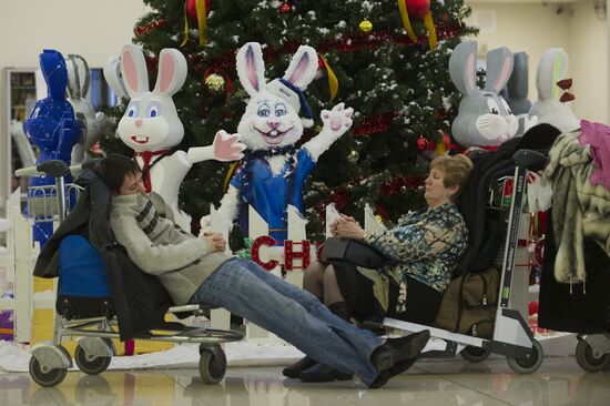 Flights delayed at Domodedovo Airport