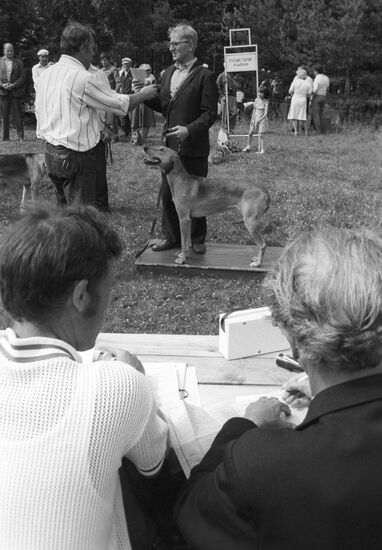 54th hunting dogs show