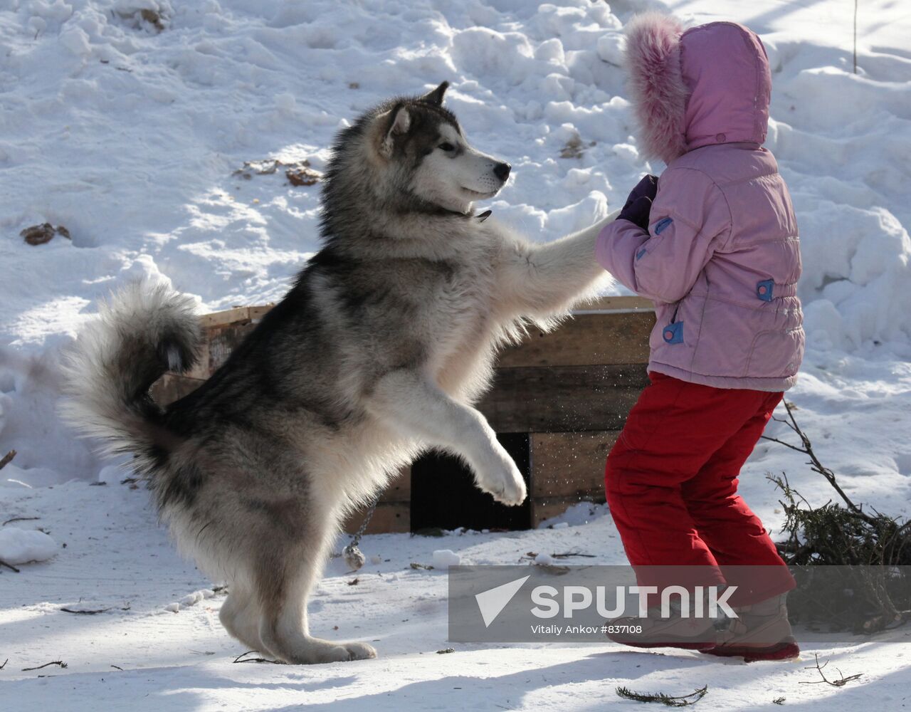 Recreation at ski base near Vladivostok