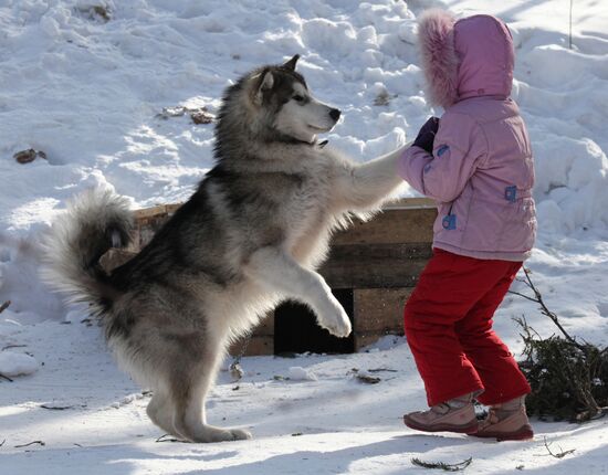 Recreation at ski base near Vladivostok