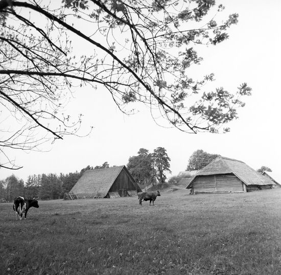 Farm Shutinai, Lithuania