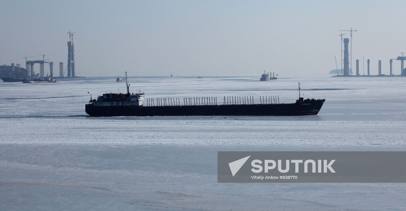 View of bridge built to Russky Island