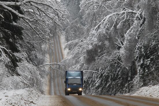 Pruning ice-coated trees in Odintsovo Region