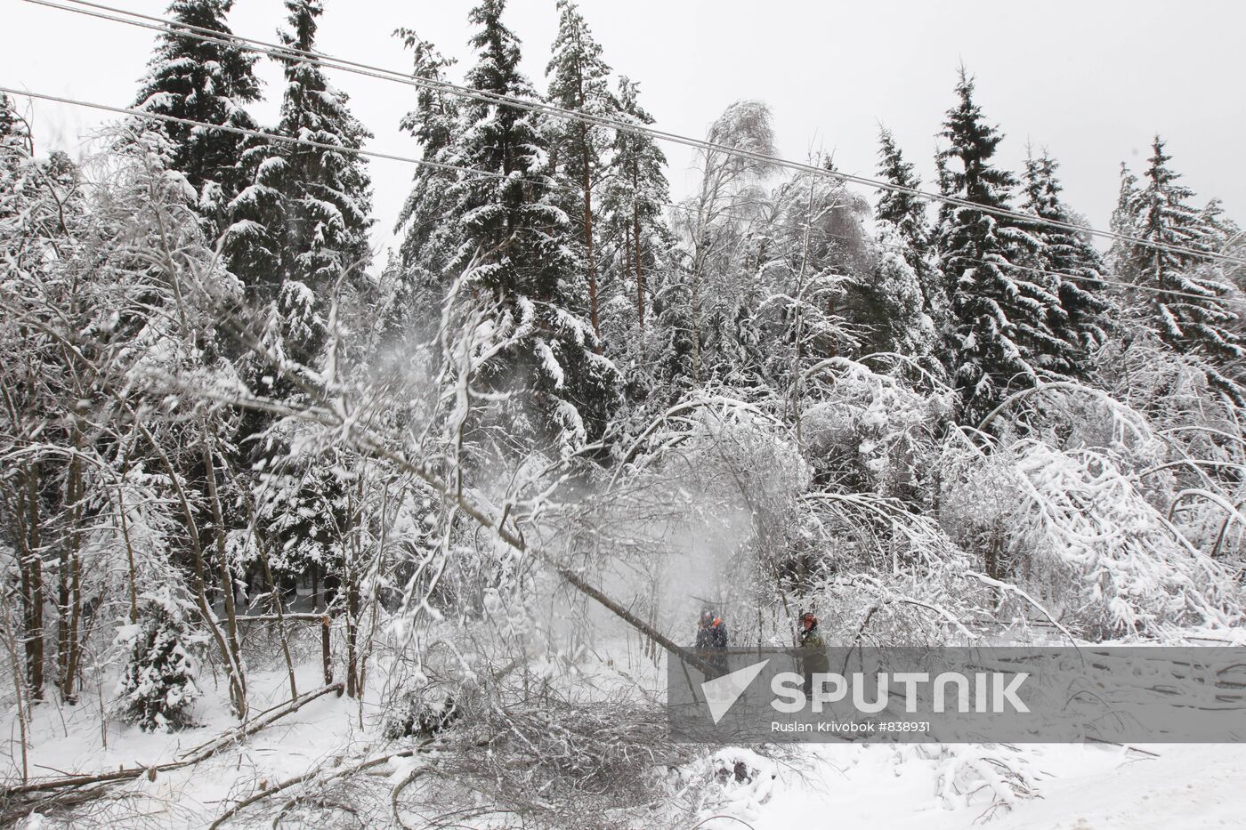 Pruning ice-coated trees in Odintsovo Region