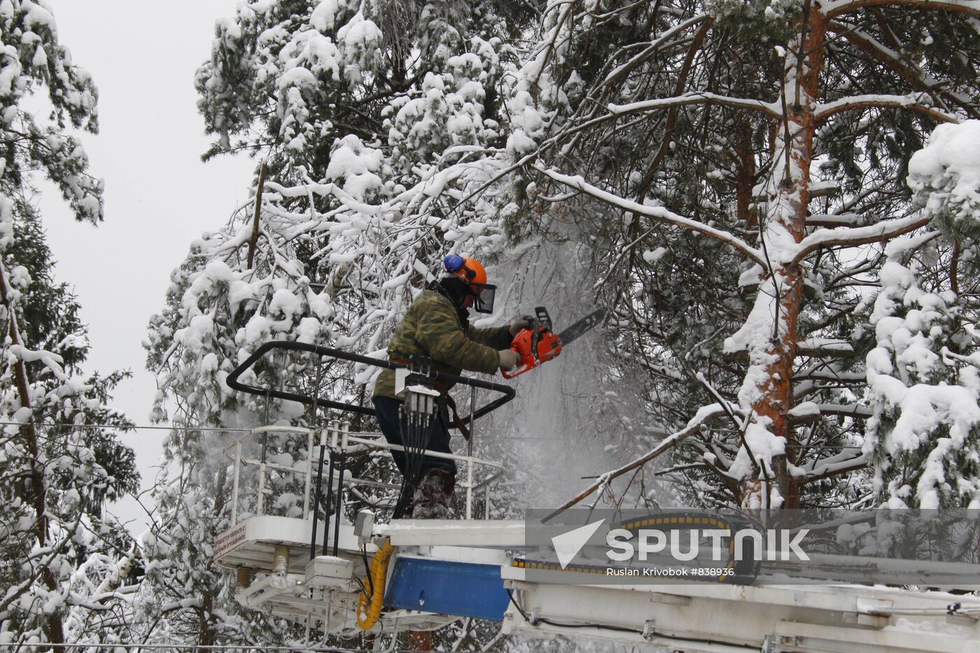 Pruning ice-coated trees in Odintsovo Region