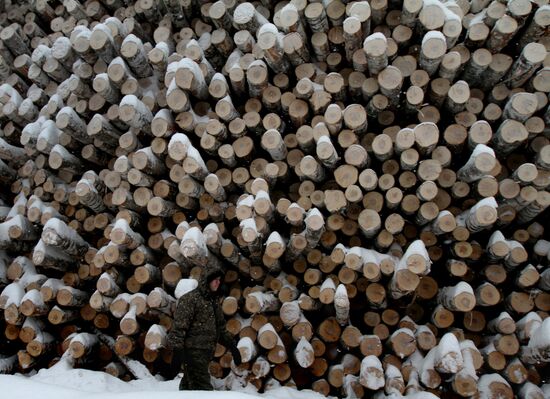 Logging in Omsk Region