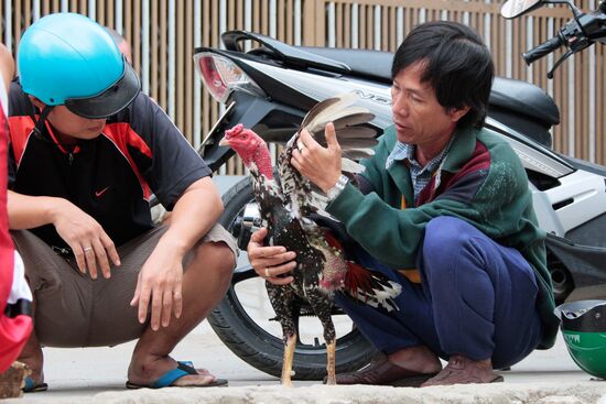 Foreign countries: Vietnam