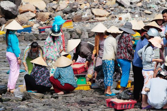 Fishing village on the outskirts of the city of Nha Trang