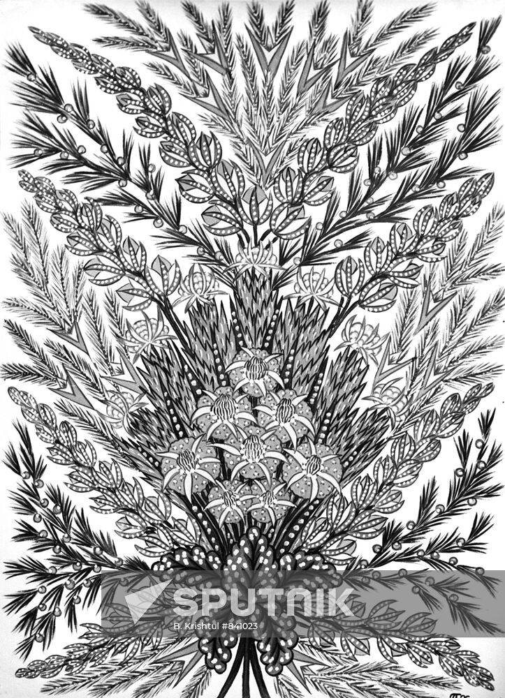 Reproduction of a drawing by P. Khoma