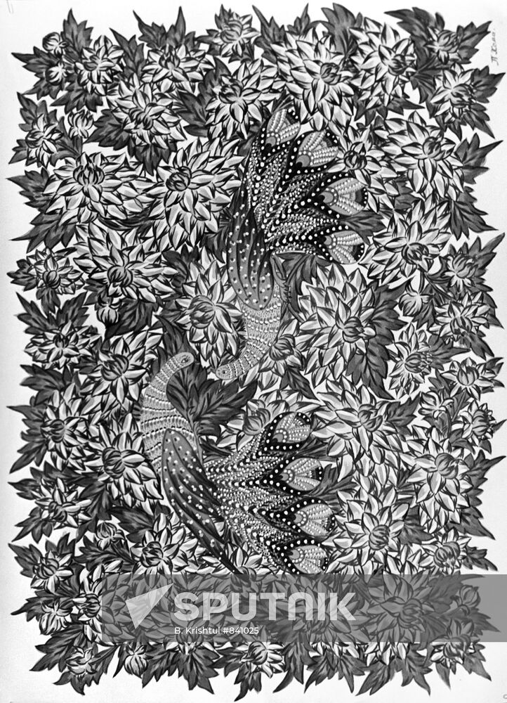 Reproduction of a drawing by P. Khoma