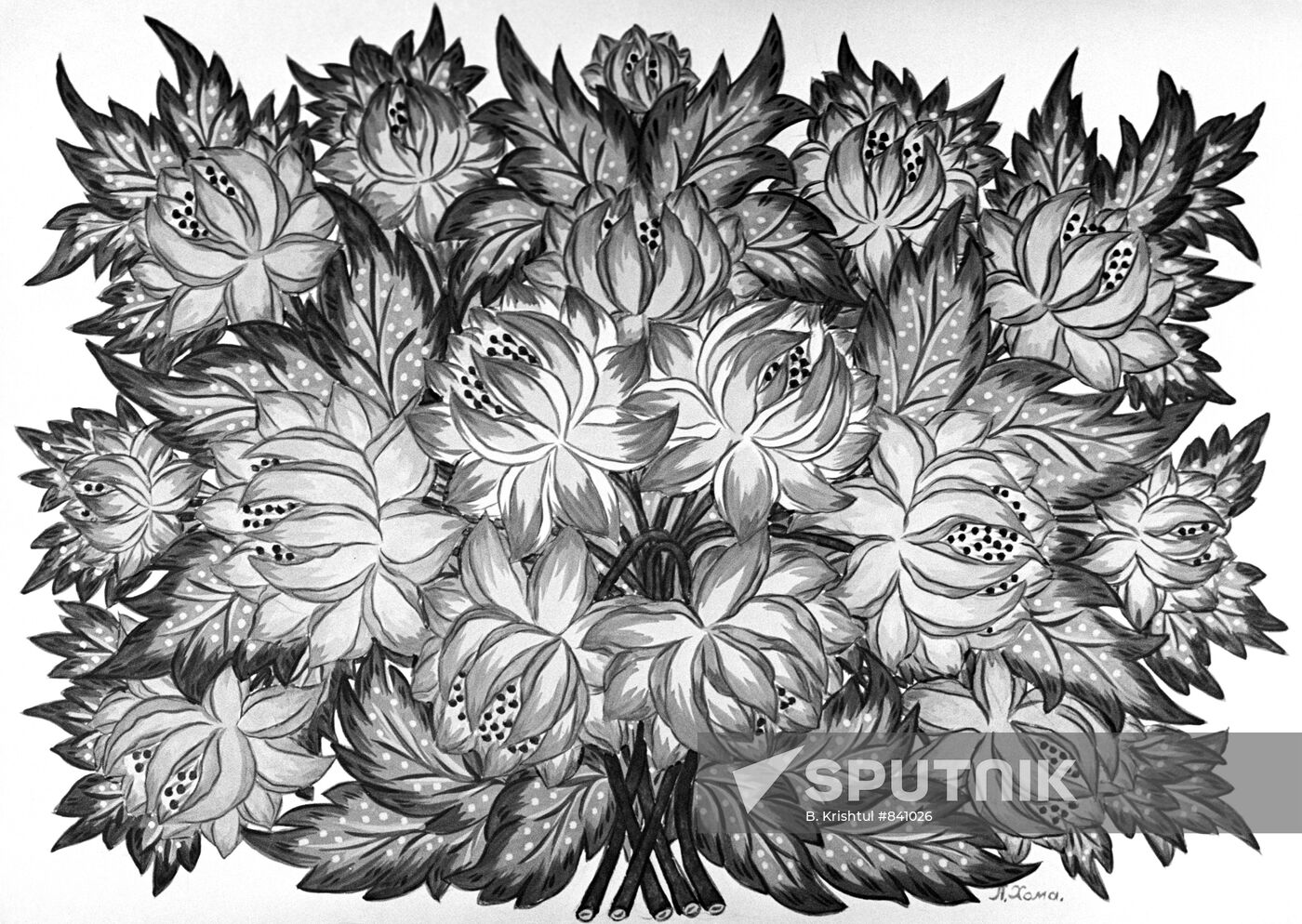 Reproduction of a drawing by P. Khoma