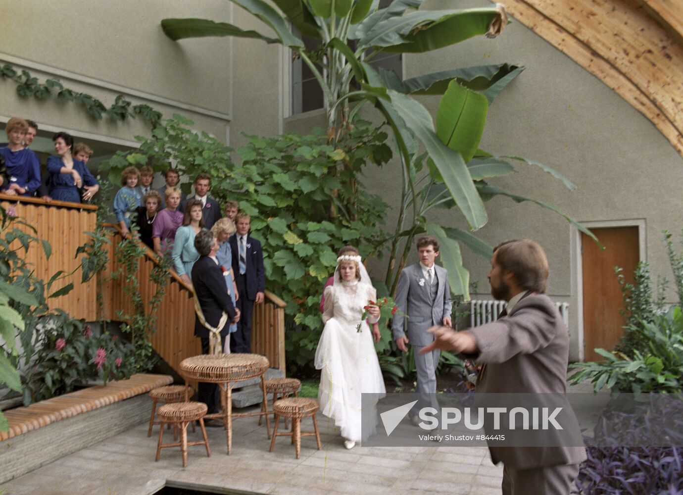 Wedding