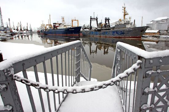 Russia's cities. Kaliningrad