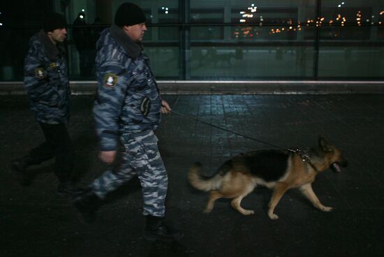 Blast hits Domodedovo airport