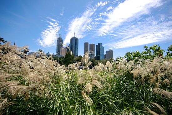 View of skyscrapers in Melbourne