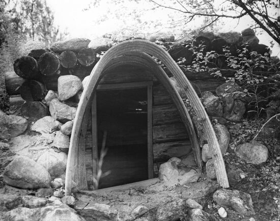 Pillbox in Karelia