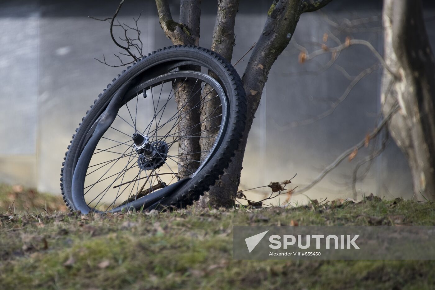 Bicycle wheel