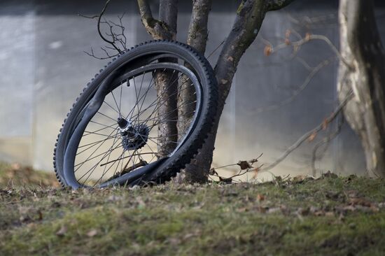 Bicycle wheel