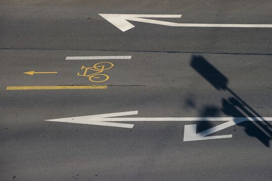 Traffic lane marking