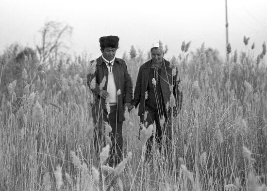 Leader of the corn-growing team Zh. Taspambetova