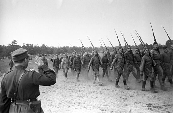 First Polish Infantry Division