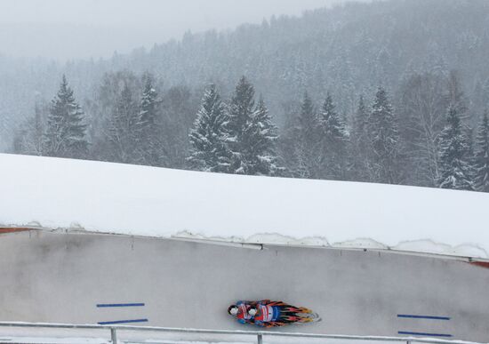 Luge. The 8th stage of the World Cup