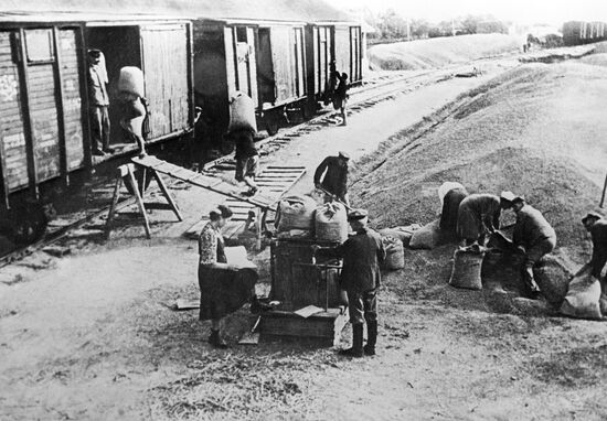 Grain harvest in Kuban