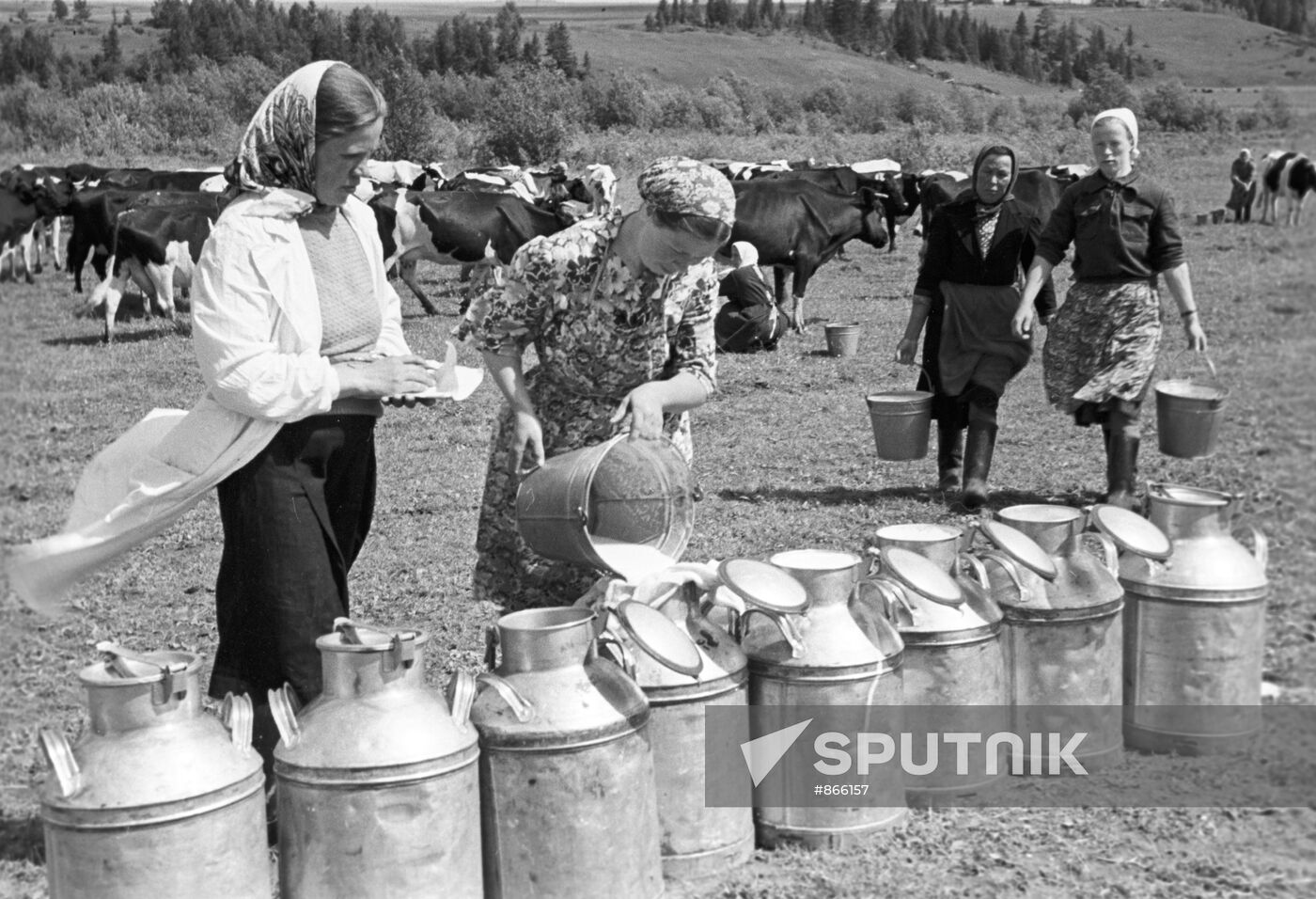 Dairy farm