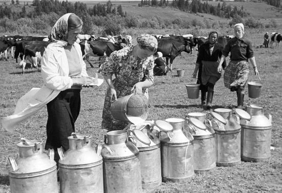 Dairy farm
