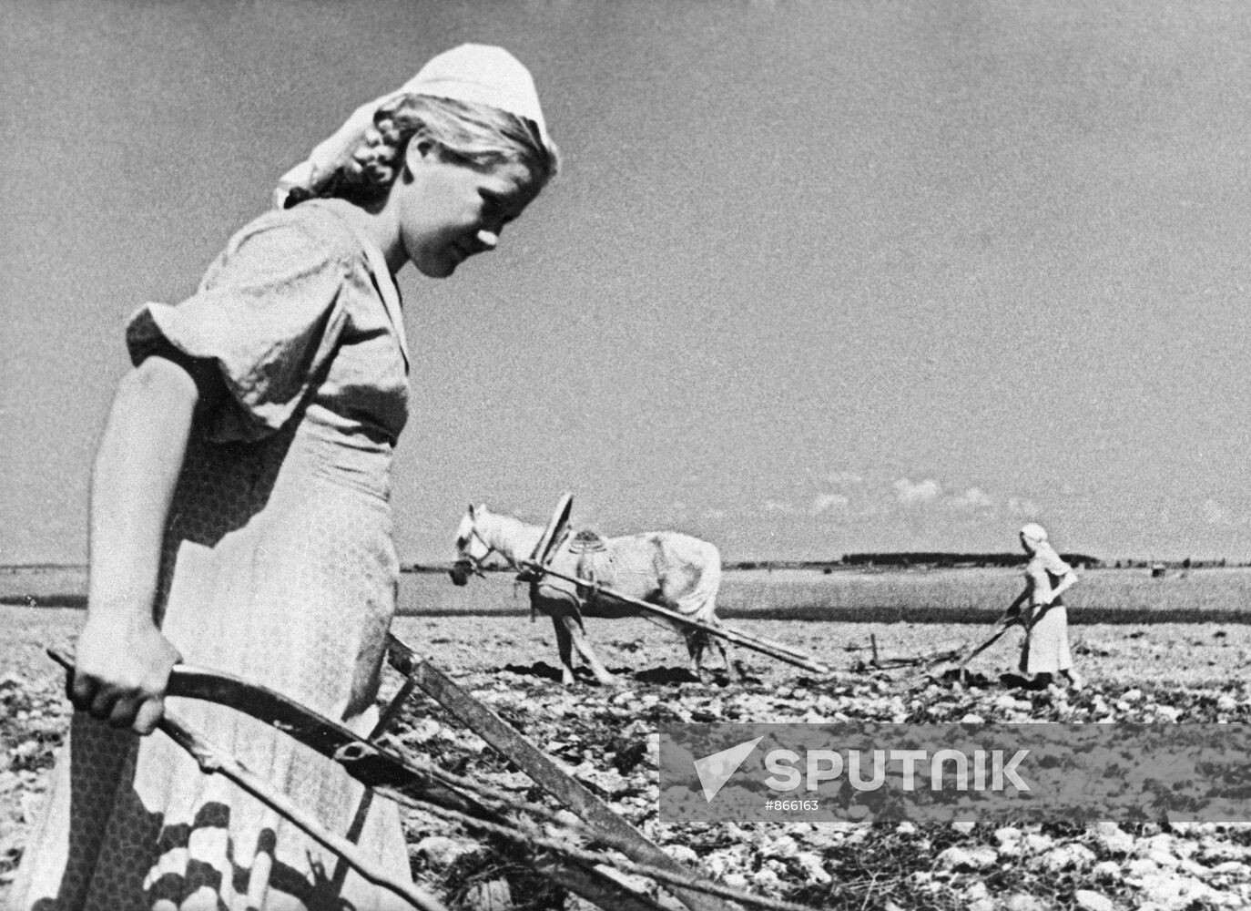 Ploughing up land