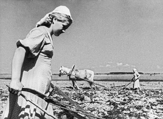 Ploughing up land