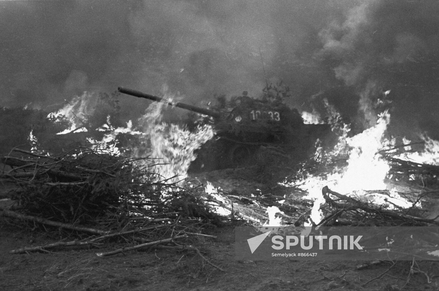 Polish tanks