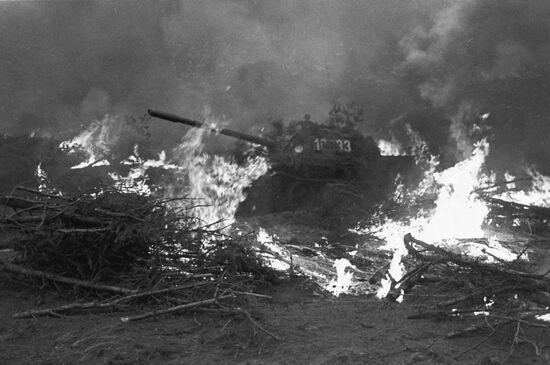 Polish tanks