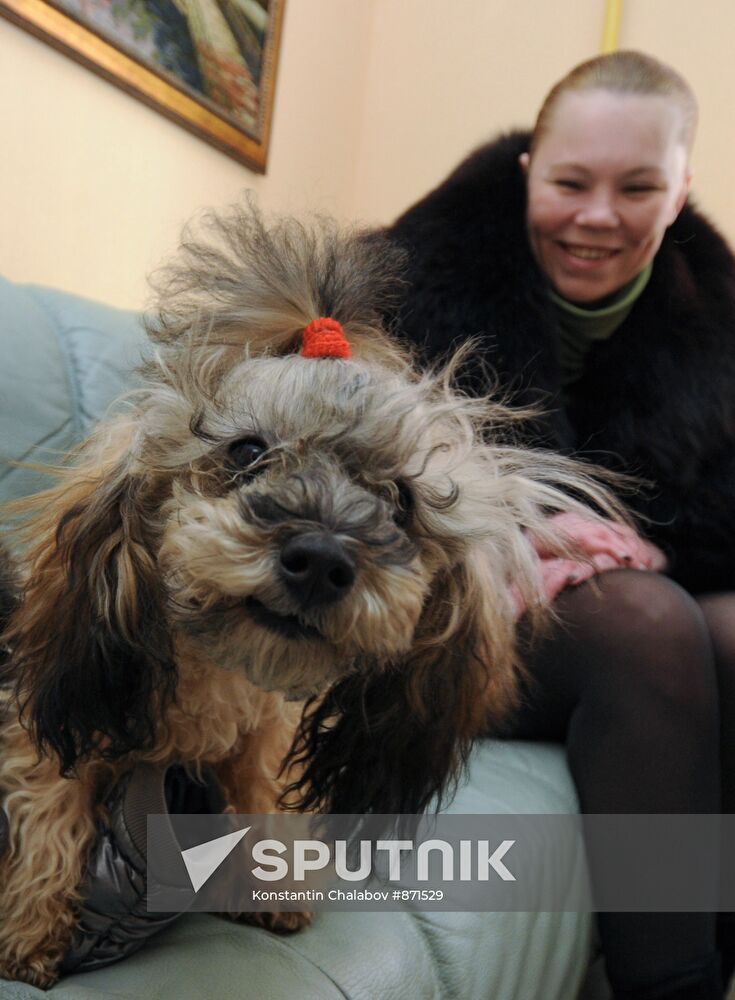 Work at a beauty salon for pets in Veliky Novgorod