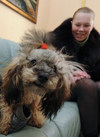 Work at a beauty salon for pets in Veliky Novgorod