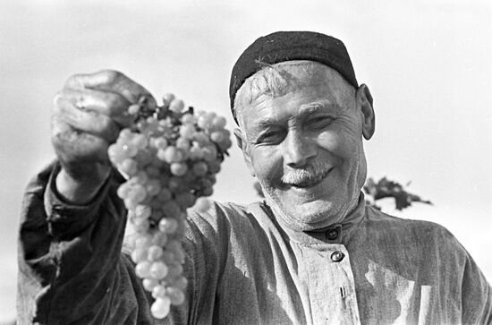 Vine grower Gvtiso Gvtisiashvili