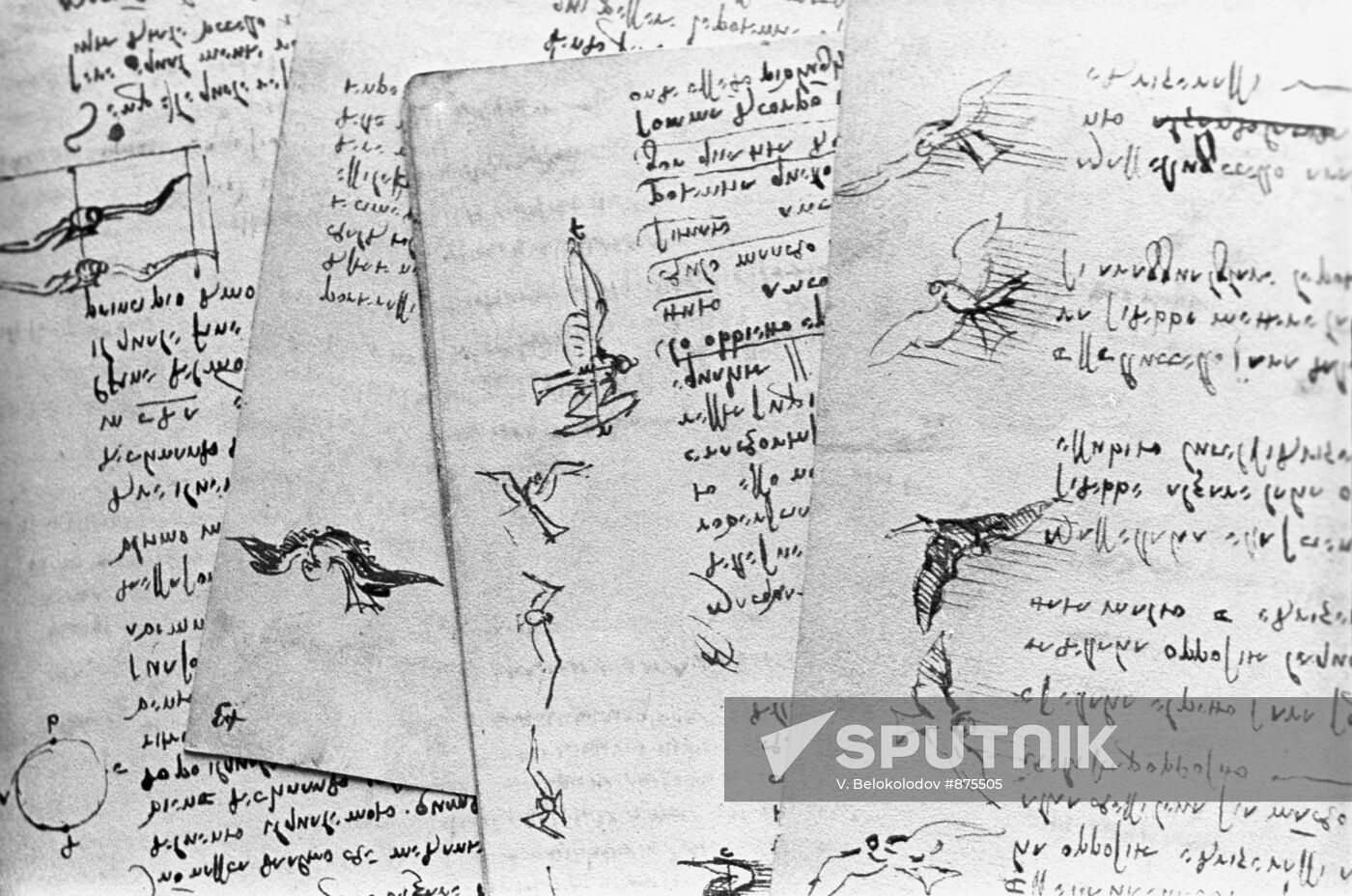Manuscript by Leonardo da Vinci